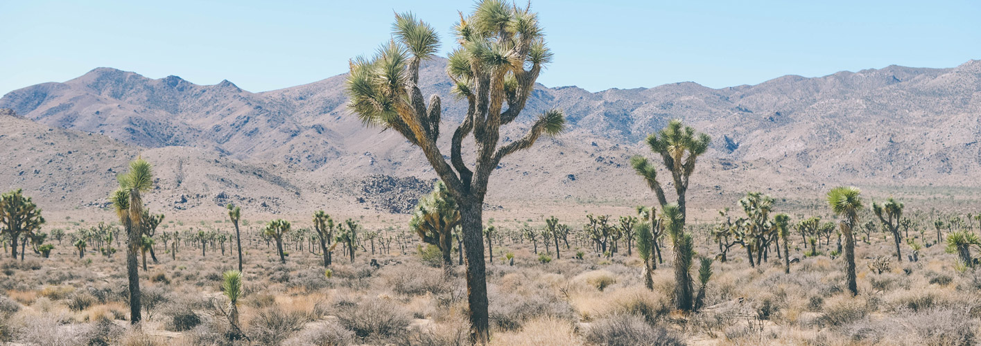 Desert Advent Retreat: San Diego, CA