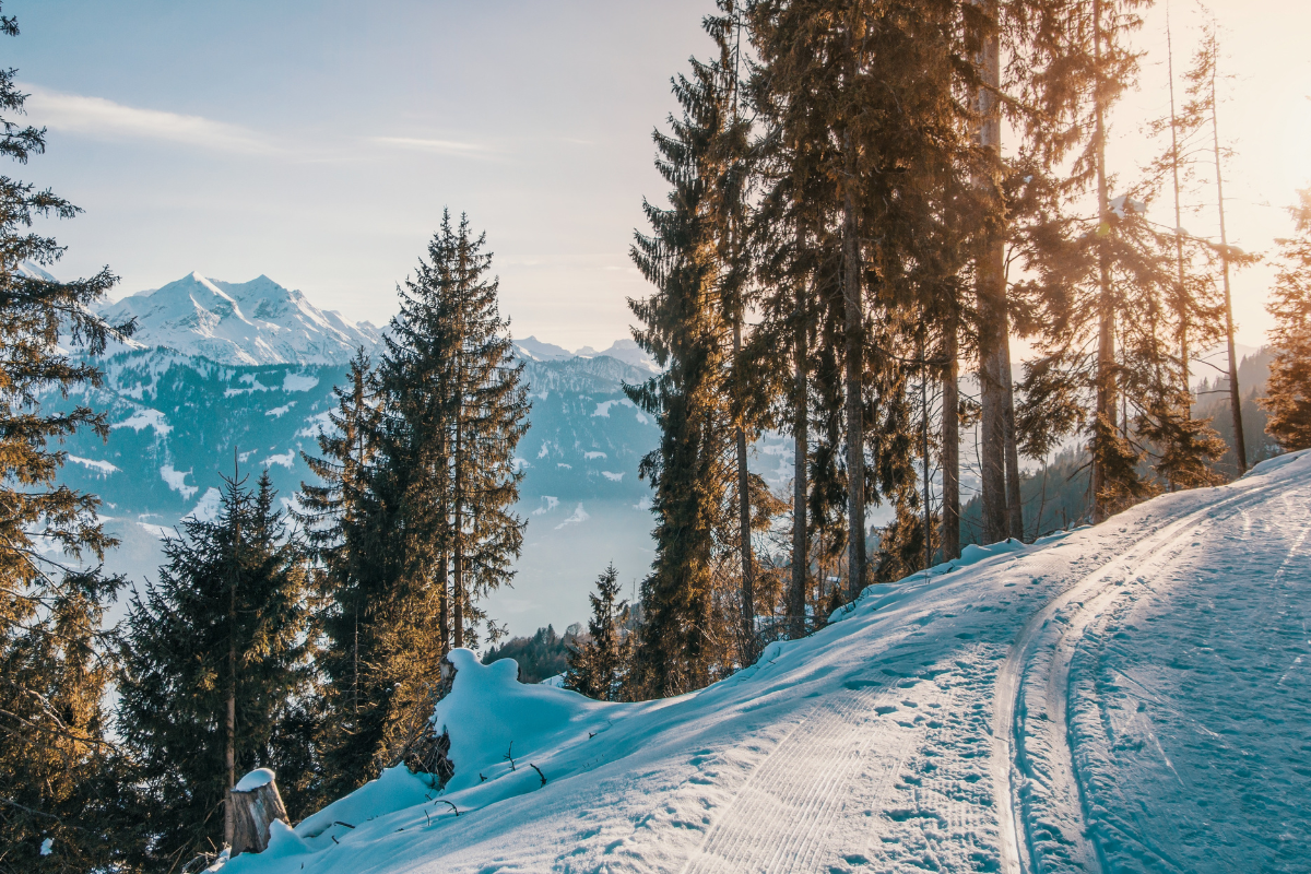 Snowy Mountains Mens Hut Trip